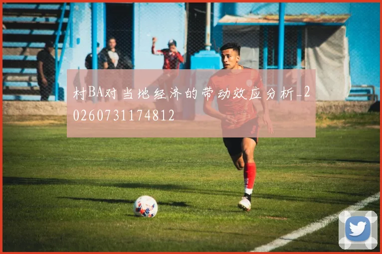 村BA对当地经济的带动效应分析_20260731174812