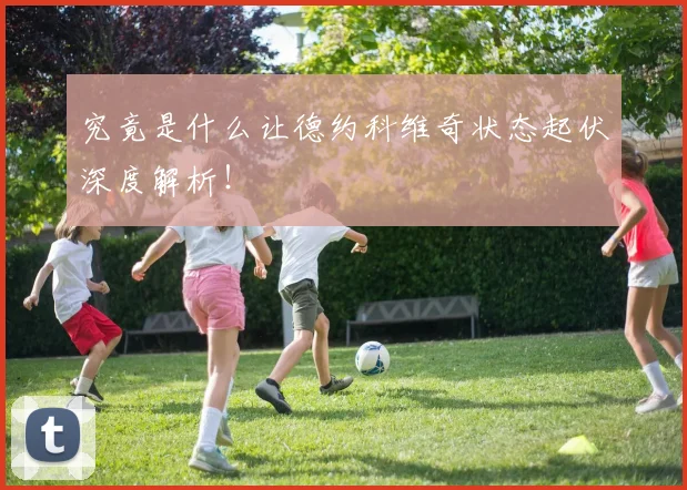 究竟是什么让德约科维奇状态起伏深度解析!