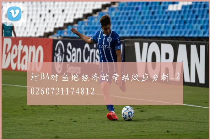 村BA对当地经济的带动效应分析_20260731174812