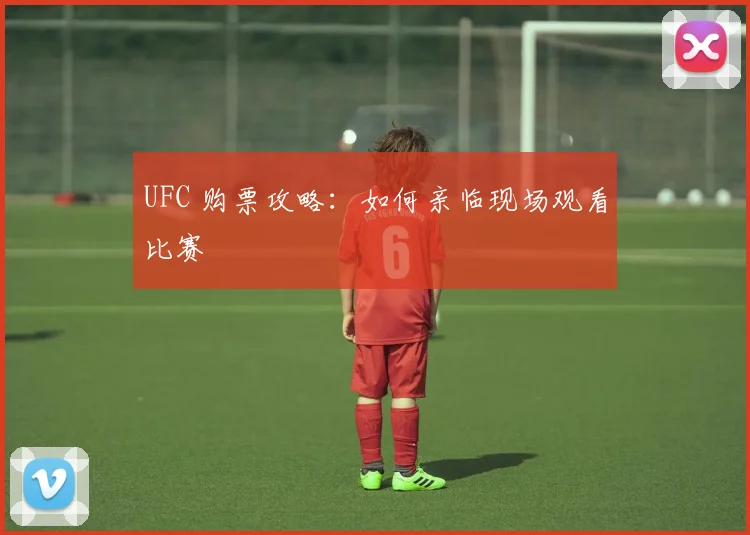 UFC 购票攻略:如何亲临现场观看比赛