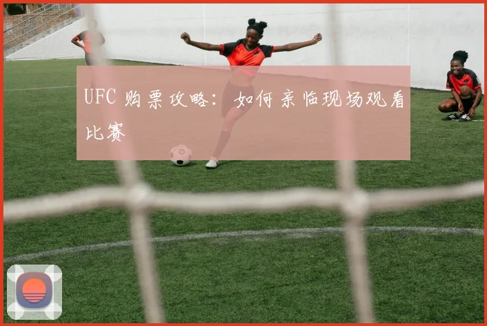 UFC 购票攻略：如何亲临现场观看比赛